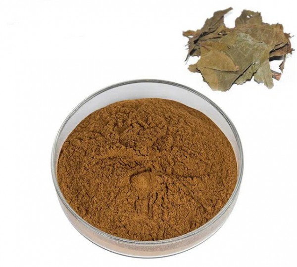 IBP cung cấp cao khô xuyên tâm liên