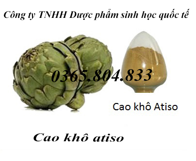 IBP cung cấp chiết xuất atiso