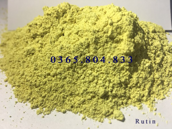 IBP cung cấp chiết xuất hoa hòe Rutin 95%