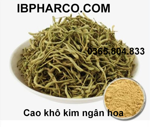 IBP cung cấp chiết xuất kim ngân hoa