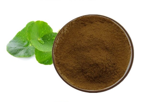 IBP cung cấp chiết xuất rau má