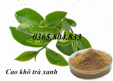 IBP cung cấp chiết xuất trà xanh
