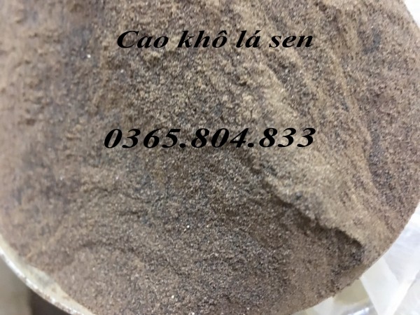 IBP cung cấp nguyên liệu cao khô lá sen