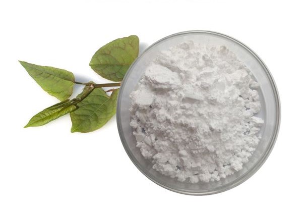 IBP cung cấp resveratrol