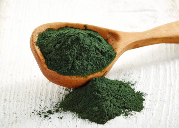IBP cung cấp tảo spirulina