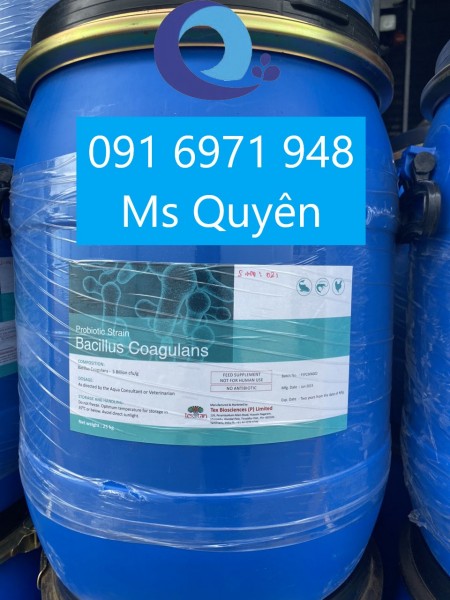 Lợi khuẩn Bacillus Coagulans bổ sung thức ăn tôm, cá