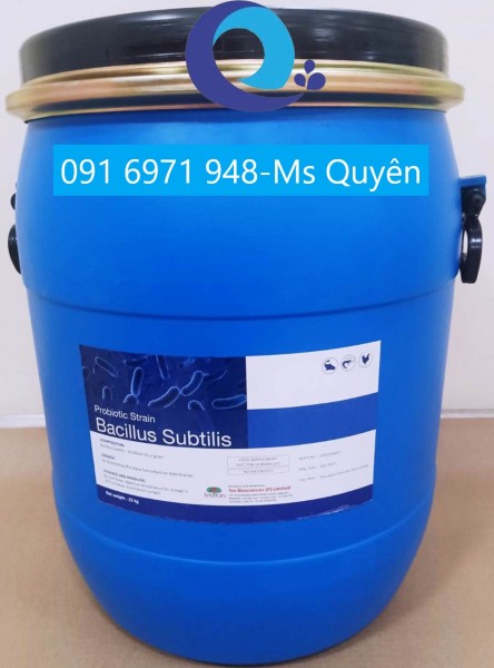 Men vi sinh Bacillus Subtilis đơn dòng Ấn Độ