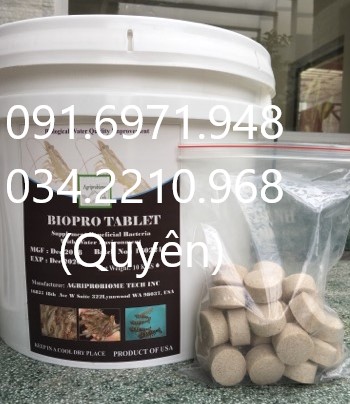 Men vi sinh dạng viên Bio pro tablet của Mỹ chuyên xử lý nước và đáy ao hiệu quả, giá sỉ