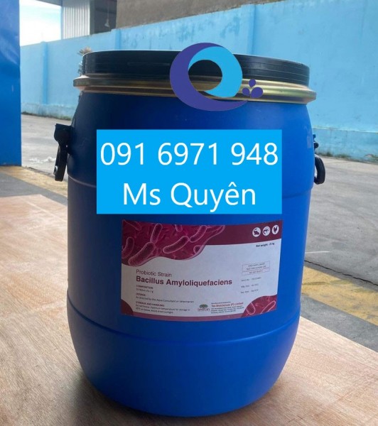 Mua bán men vi sinh đơn dòng Bacillus Amyloliquefaciens 