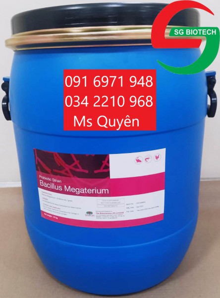 Mua bán sỉ men đường ruột vật nuôi Bacillus Megaterium