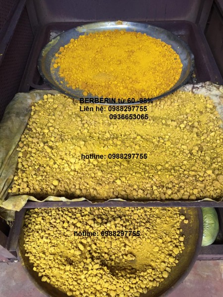 Nguyên liệu Berberin tự nhiên 60%-98%