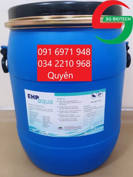 Phòng ngừa hội chứng phân trắng, teo gan ở tôm EHP aqua