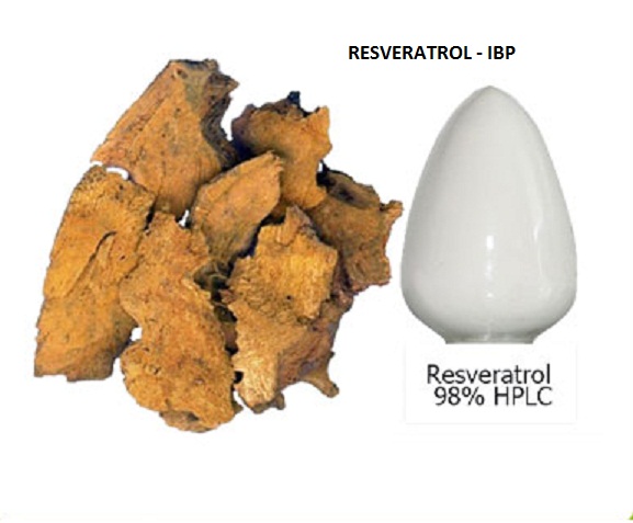 Resveratrol