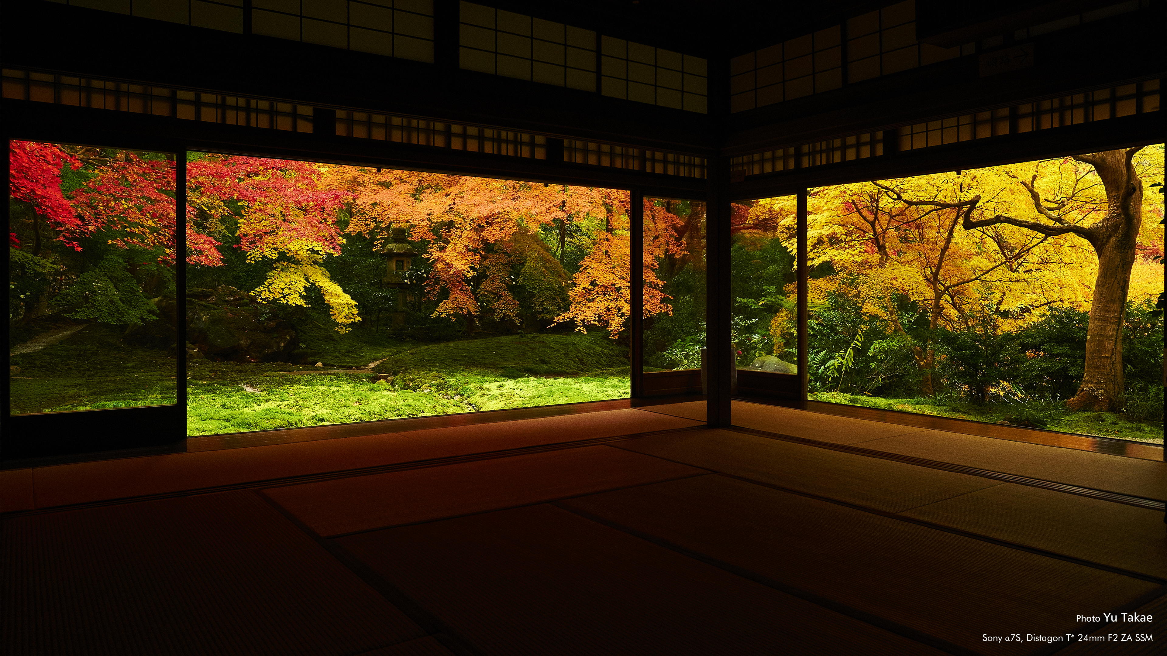 Thuê bằng trung cấp dược mở nhà thuốc bắc