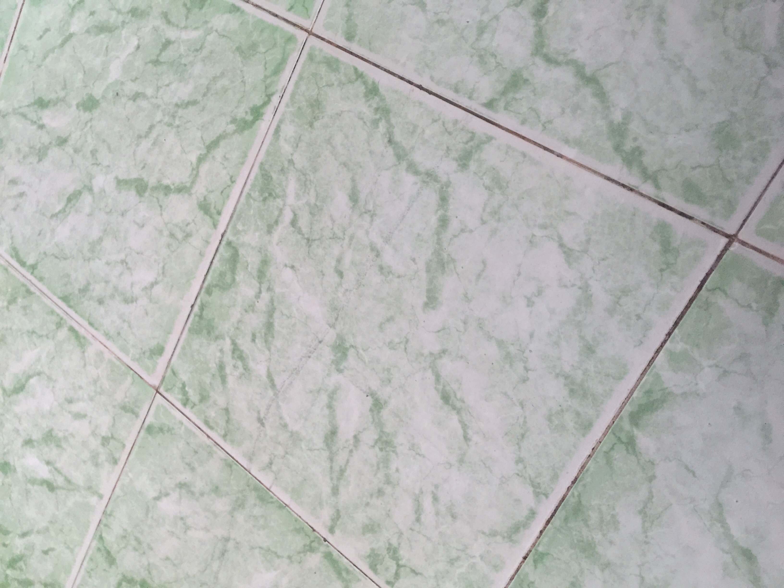 Tìm dsđh tại brvt