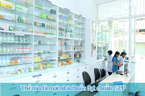 tuyển nhân viên bán chính và thực tập đào tạo