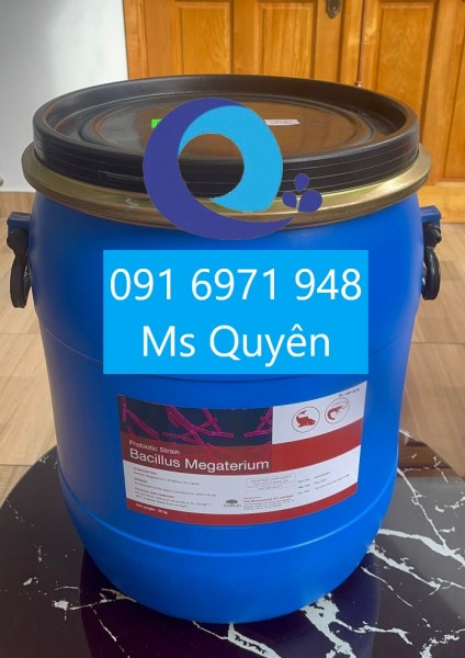 Vi sinh lợi khuẩn Bacillus Megaterium giá sỉ
