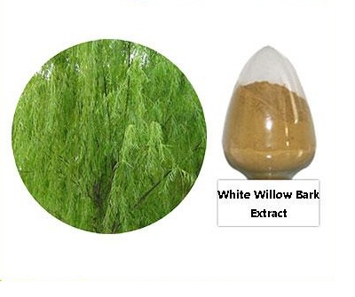 White Willow Bark Extract 