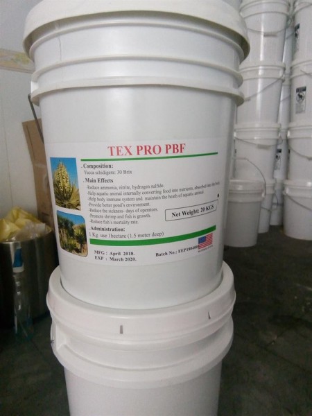 Yucca- Khắc tinh của khí độc trong ao nuôi thủy sản và chuồng trại