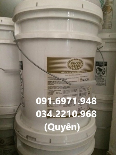 Yucca liquid, powder mexico chiết suất đậm đặc 100% chính hãng, giá sỉ