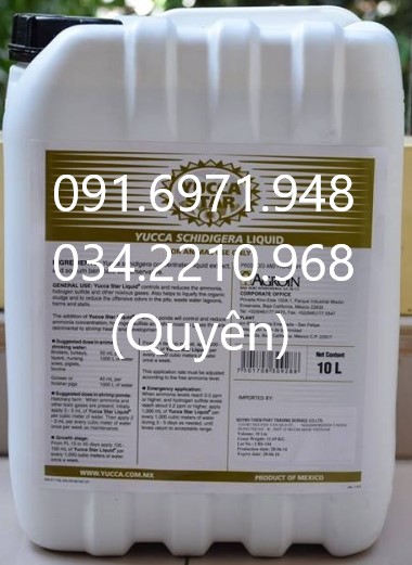 Yucca nước Mexico, yucca bột Mexico đậm đặc 100% xử lý khí độc ao nuôi hiệu quả